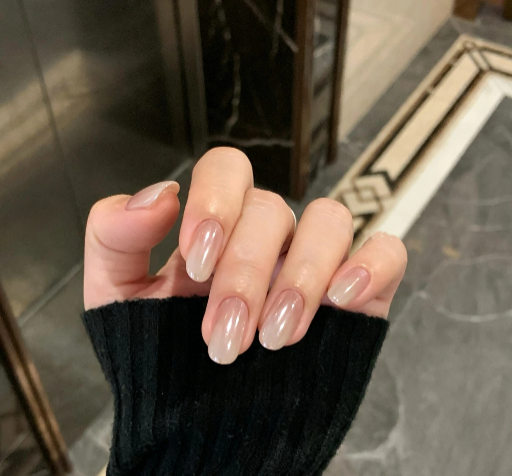 Nude Cat Eye Press-On Nails – Aurora Glazed Oval Nude Nails | Minimalist Reusable Nail Set 262