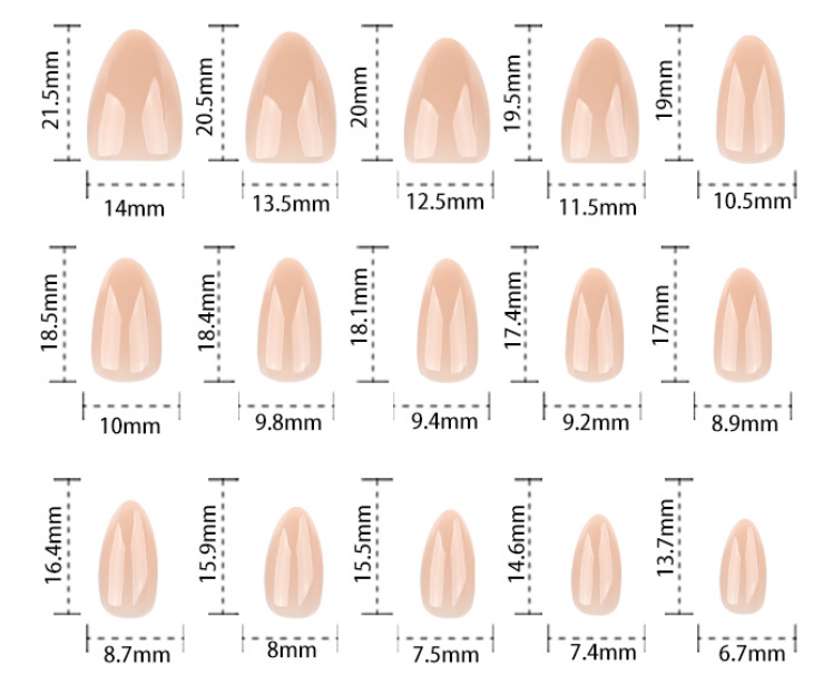 Nude Press On Nails Natural Sheer Look Glossy Almond Shape Minimal Clean Style Full Cover False Nails Kit Reusable Elegant Everyday Nails 122